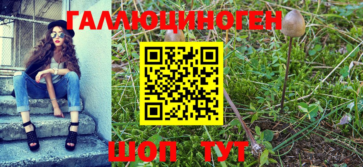 Псилоцибиновые грибы Psilocybine cubensis Нефтекамск